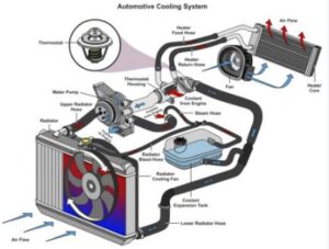 Cooling System Vw 2.0 Engine Parts Diagram Details