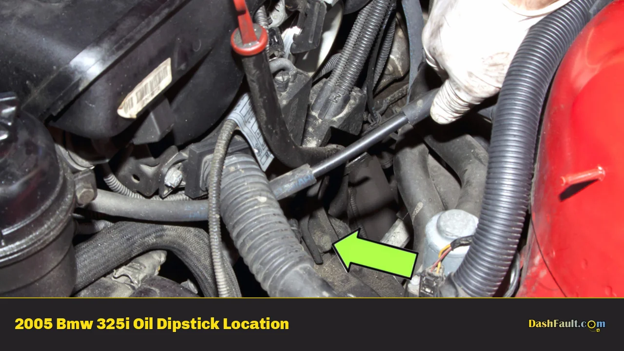 2005 Bmw 325i Oil Dipstick Location