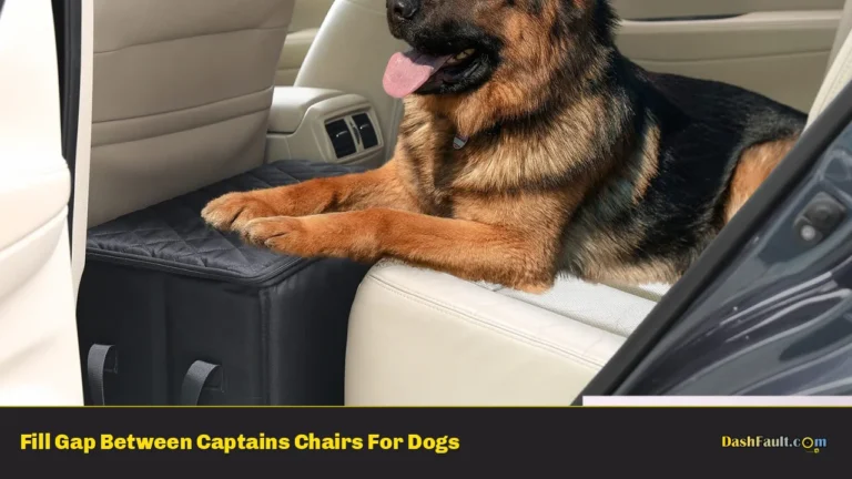 Fill Gap Between Captains Chairs For Dogs